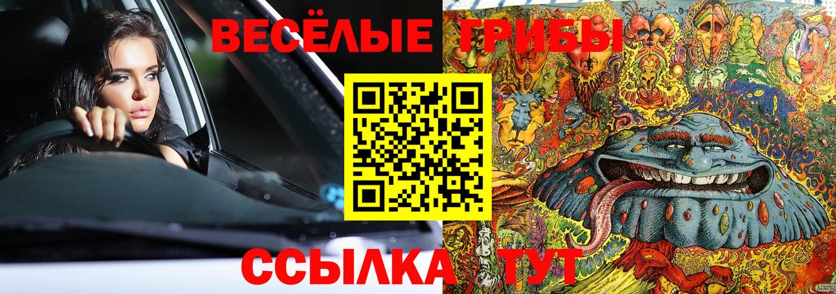 Псилоцибиновые грибы GOLDEN TEACHER Благовещенск