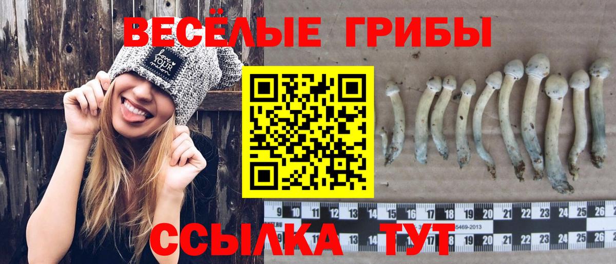 Псилоцибиновые грибы мухоморы  Вход с VPN  Благовещенск  Галлюциногенные грибы прущие грибы 